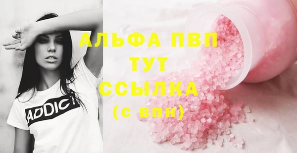 индика Балабаново