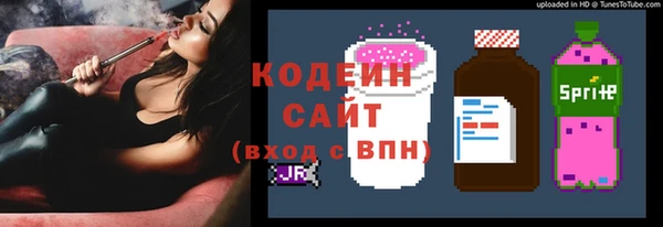 индика Балабаново