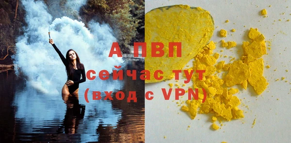 индика Балабаново