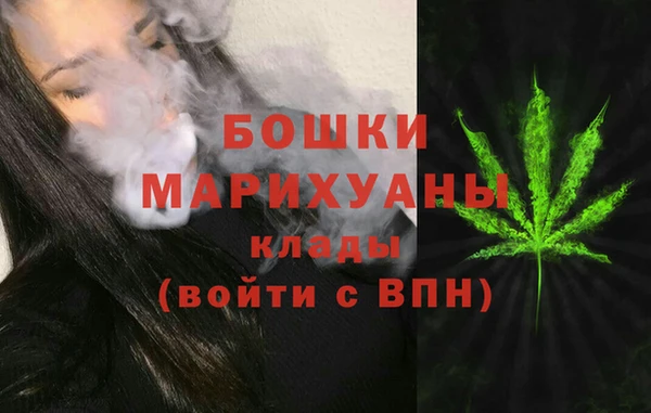 индика Балабаново