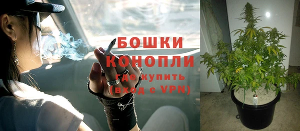 индика Балабаново